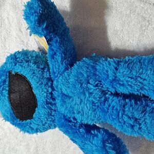 Sesame  Cookie Monster Take Along Buddy